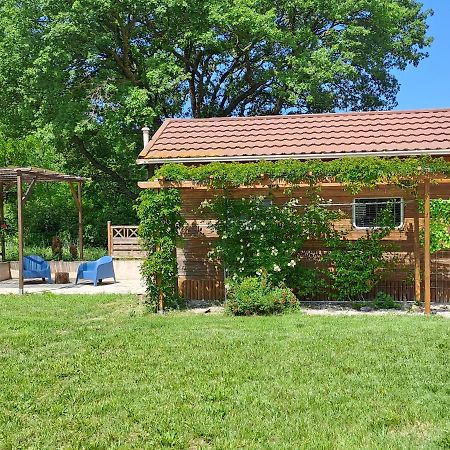 Chalet De Provence 普罗旺斯地区艾克斯 外观 照片