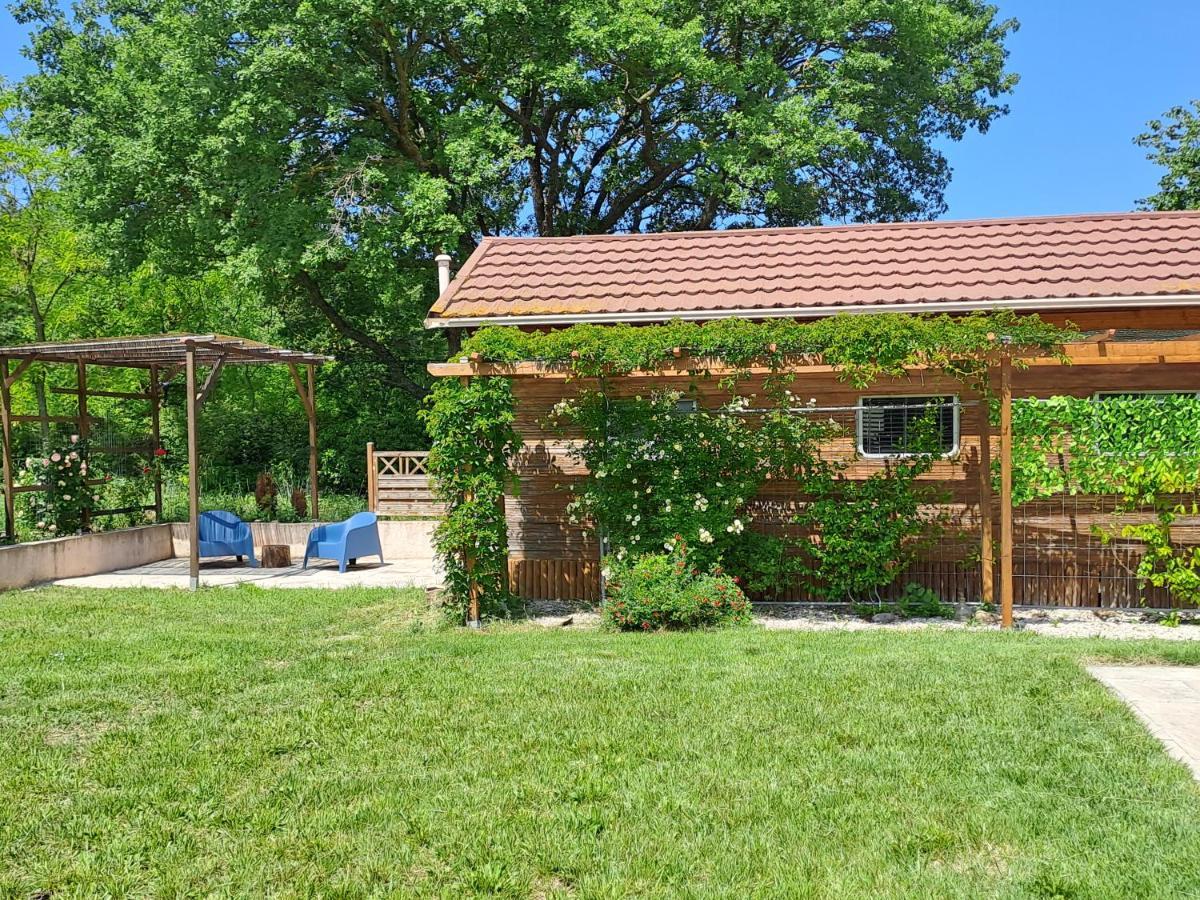 Chalet De Provence 普罗旺斯地区艾克斯 外观 照片